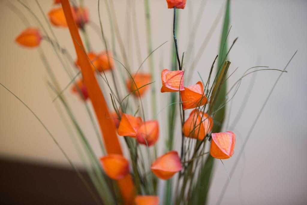 Apartment Wellness Center Zagreb